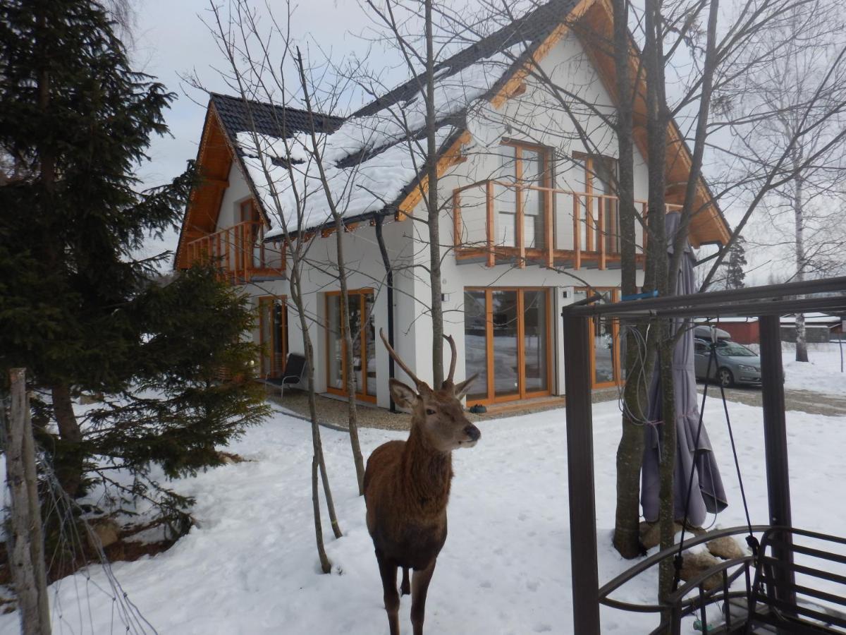 Chalet Deer Trail Татранска Ломница Экстерьер фото